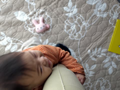 b0054956_044696.jpg