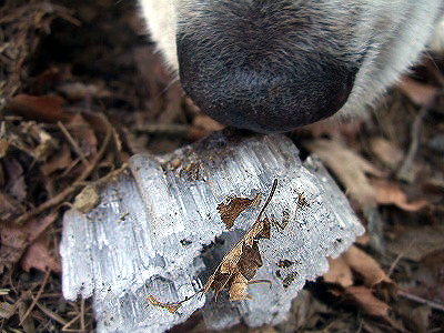 c0097558_2231848.jpg