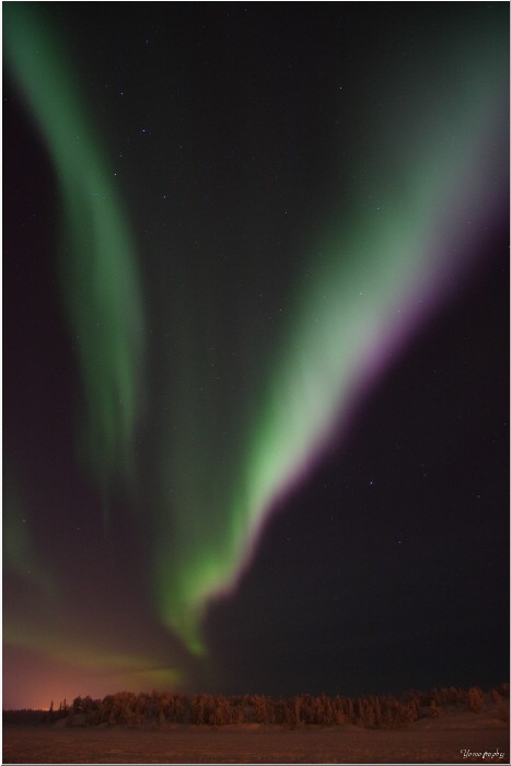 c0112158_659111.jpg