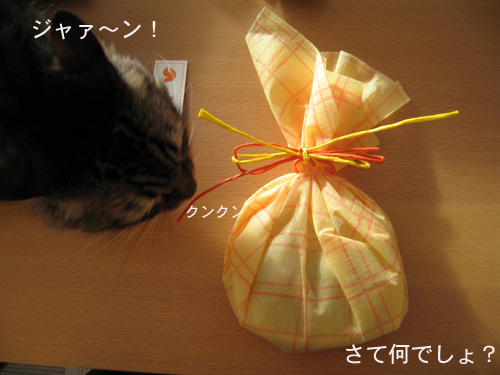 e0057361_17293221.jpg