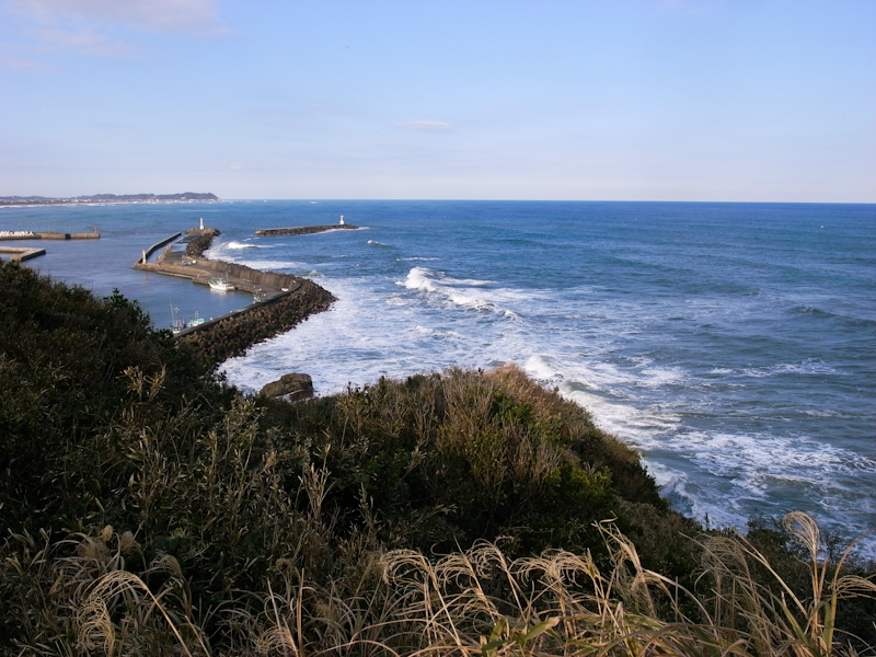 c0084666_22688.jpg