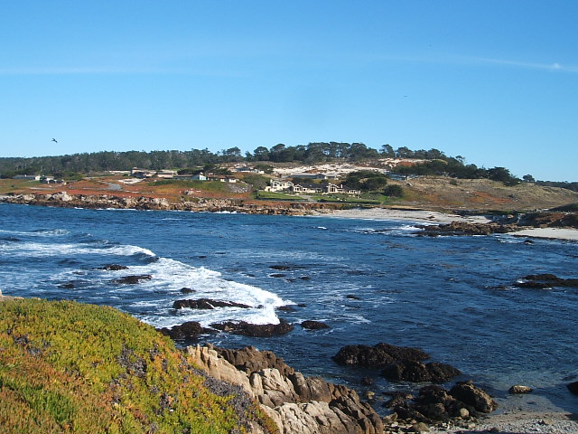c0115366_1613444.jpg