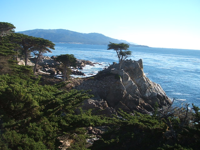 c0115366_16235467.jpg