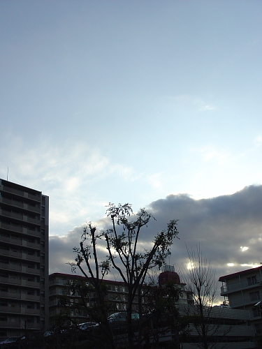 f0166066_1754111.jpg