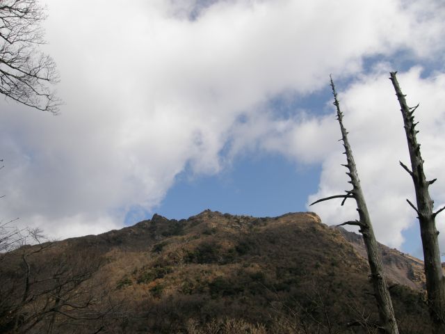 c0042869_19204210.jpg