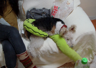 b0091373_0485637.jpg