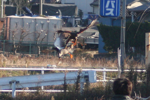 e0099576_15464231.jpg