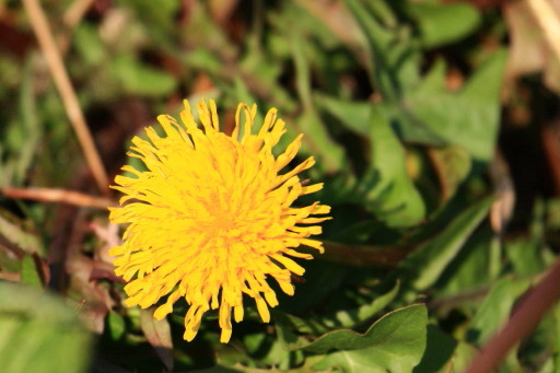 c0148777_211893.jpg