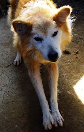 c0078480_2351317.jpg