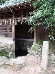 c0105785_1014328.jpg