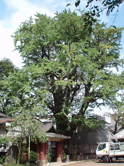 c0105785_1512669.jpg