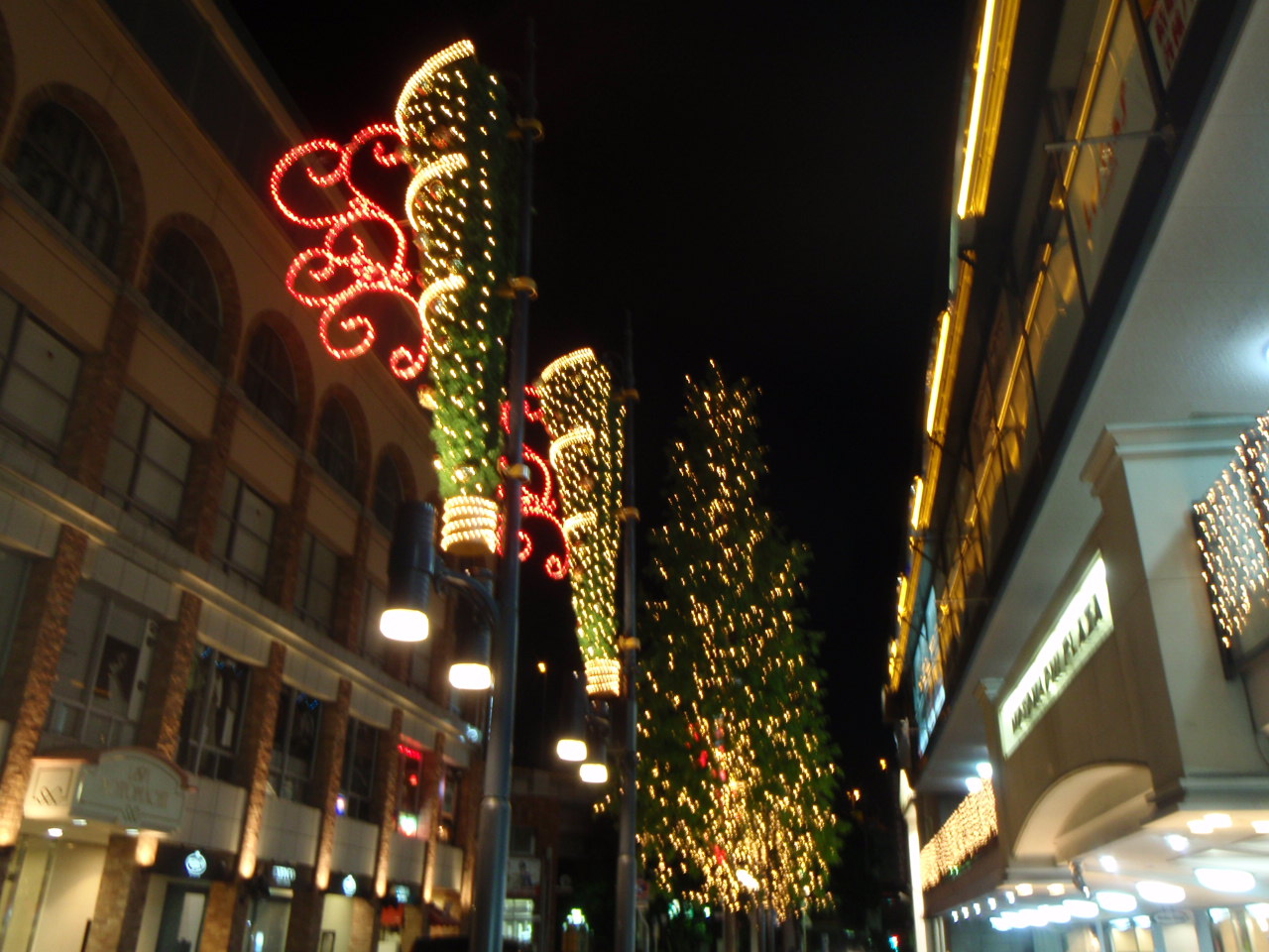 f0178991_0203984.jpg