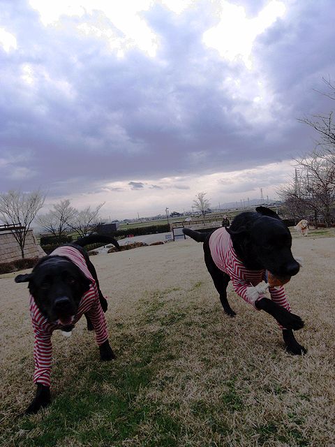 a0093592_21192559.jpg