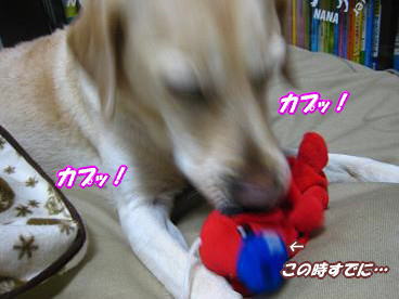 c0028792_043026.jpg