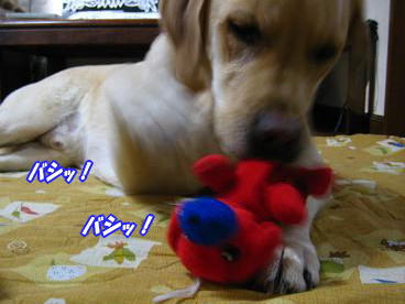 c0028792_044798.jpg