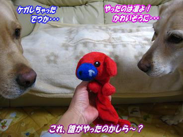 c0028792_045995.jpg