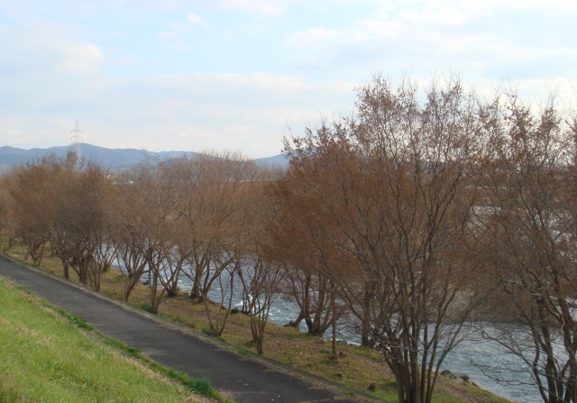e0111793_22472821.jpg