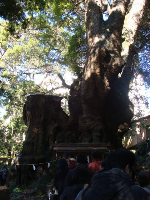d0098295_1711189.jpg