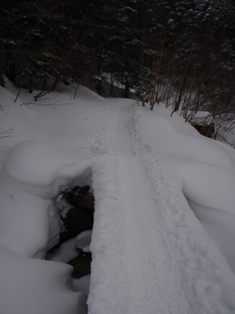 c0147398_2374723.jpg