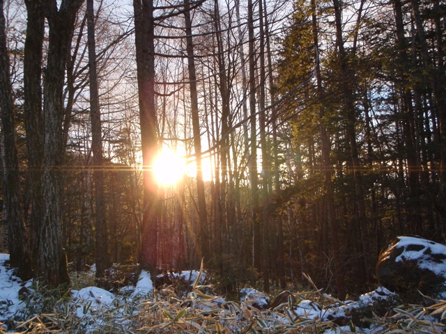 c0147398_2382661.jpg