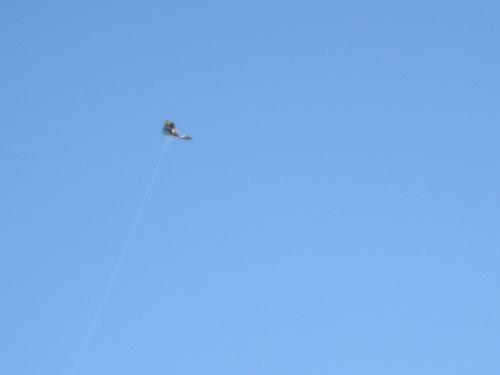 f0153998_21134416.jpg