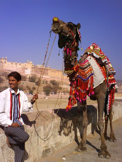 e0007801_12293276.jpg