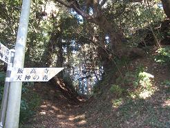 e0033301_21562229.jpg