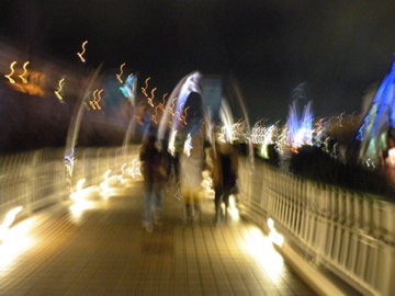 e0167315_012365.jpg