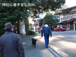 c0012120_18493471.jpg