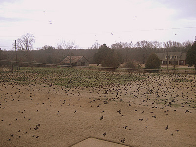 c0151122_1133095.jpg