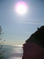 d0011725_1636294.jpg