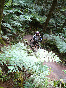 d0023725_1854197.jpg