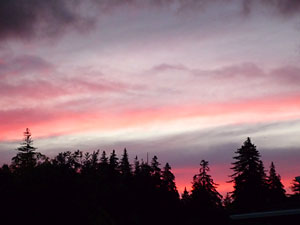 d0023725_18545575.jpg
