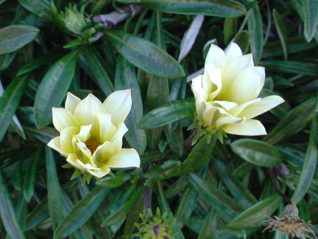 e0016828_23533965.jpg