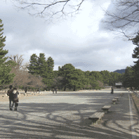 d0033734_17211812.gif