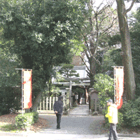 d0033734_17214280.gif
