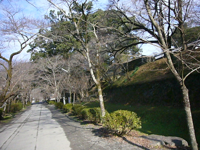 e0133535_11322045.jpg