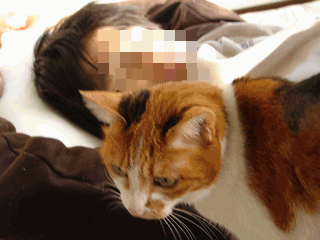 c0136736_14581080.gif