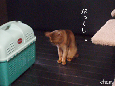 c0132438_2246275.jpg