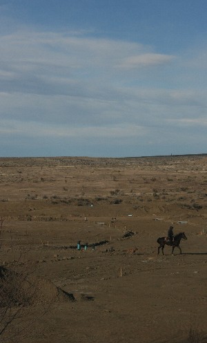 e0104941_7192689.jpg