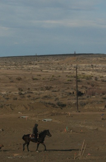 e0104941_7213858.jpg