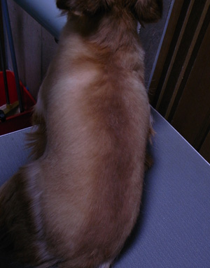c0119742_118375.jpg