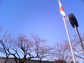 e0150843_1724583.jpg