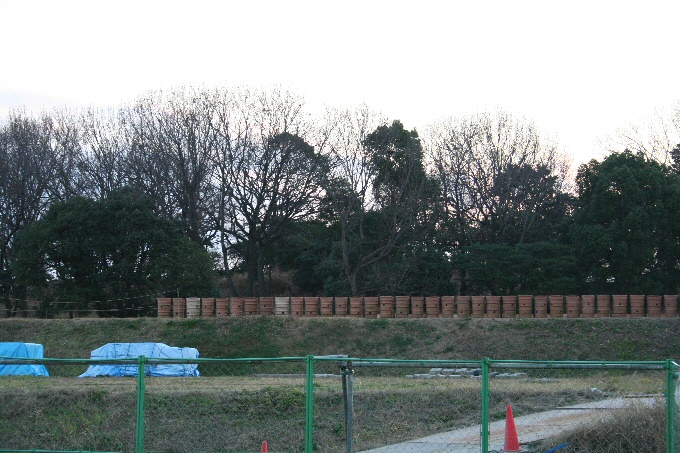 f0174244_9151824.jpg