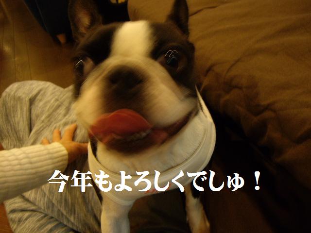 e0098547_0401129.jpg