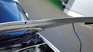 f0000652_033269.jpg