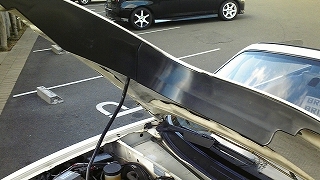 f0000652_051113.jpg
