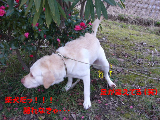 f0057565_16505118.jpg