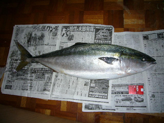 f0057565_16553176.jpg