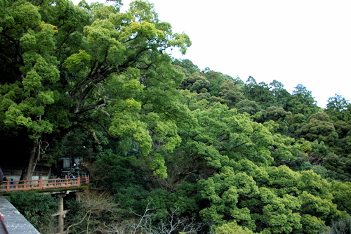 a0109466_2148388.jpg